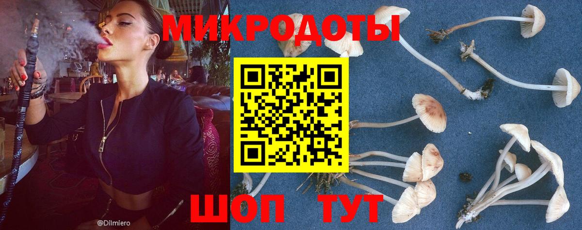 Галлюциногенные грибы мухоморы Шали